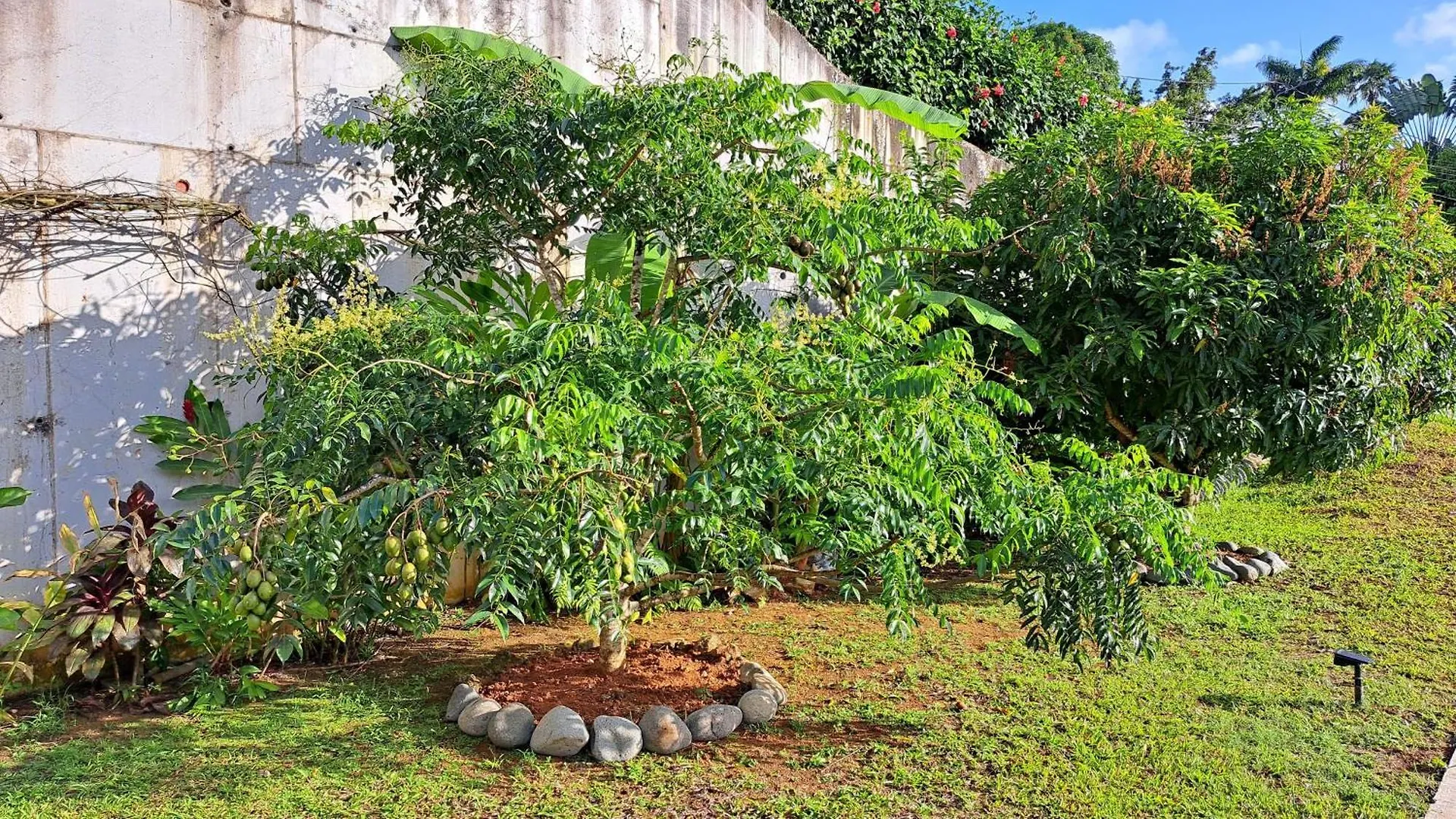 Residence Paradis Petit-Bourg 0*,